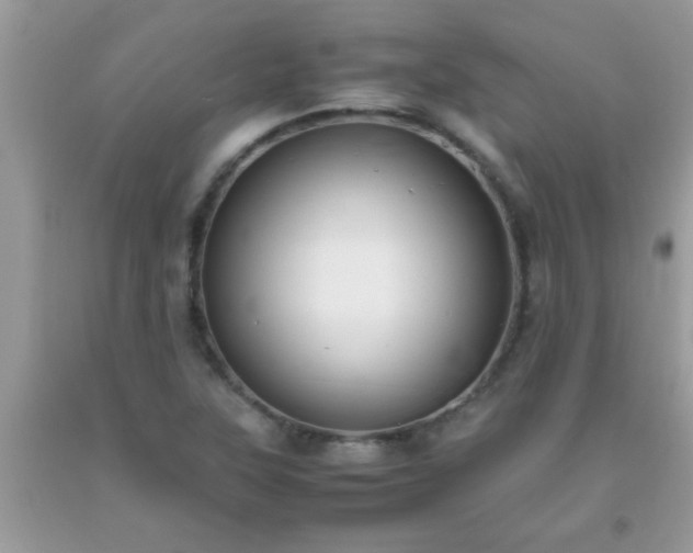 X0000093751315200710231224