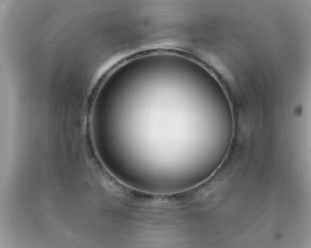 X0000093751316200710231224