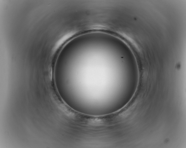 X0000093751317200710231224