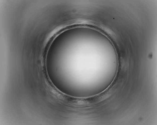X0000093751318200710231224