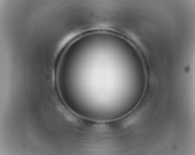 X0000093751320200710231224