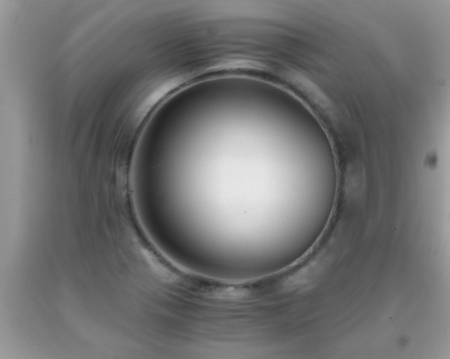 X0000093751321200710231224