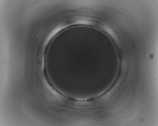 X0000093751323200710231224