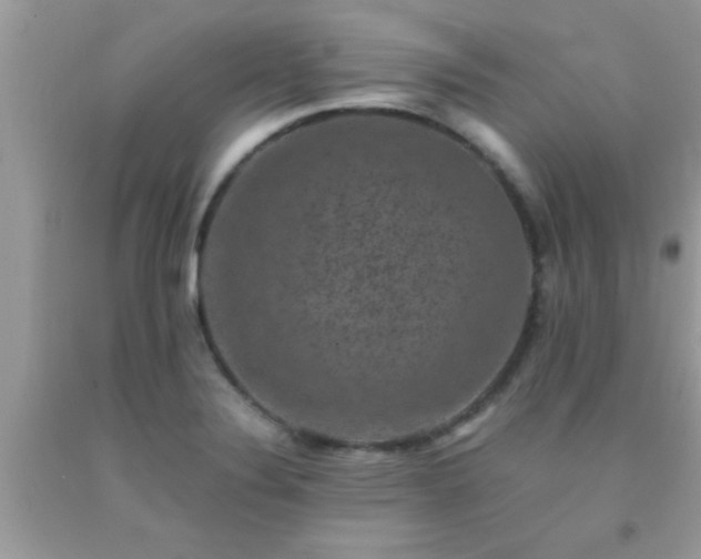 X0000093751324200710231224