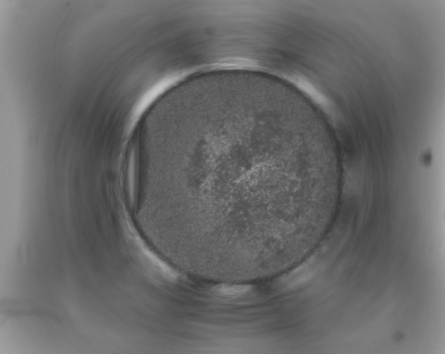 X0000093751325200710231224