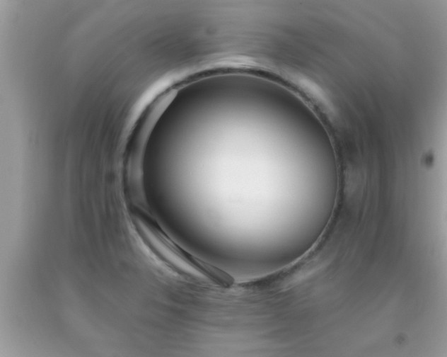 X0000093751326200710231224