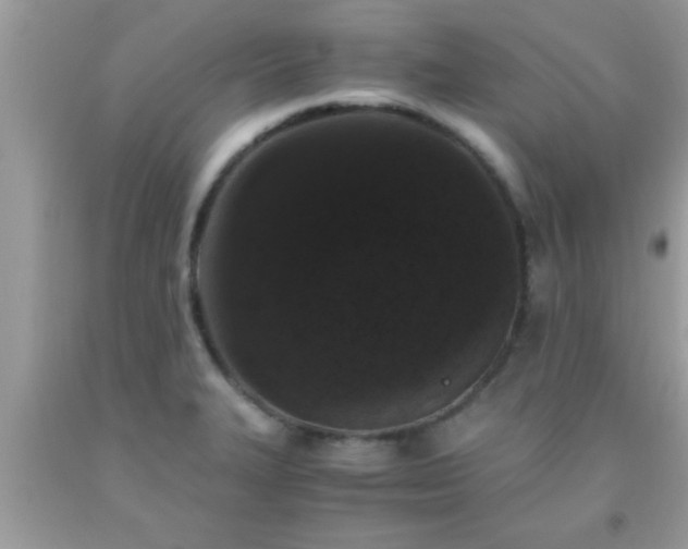 X0000093751327200710231224