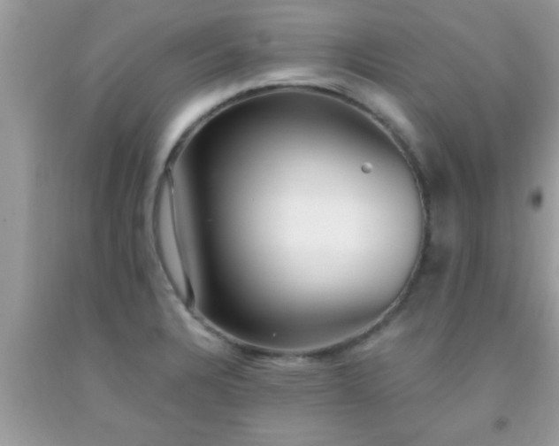 X0000093751328200710231224