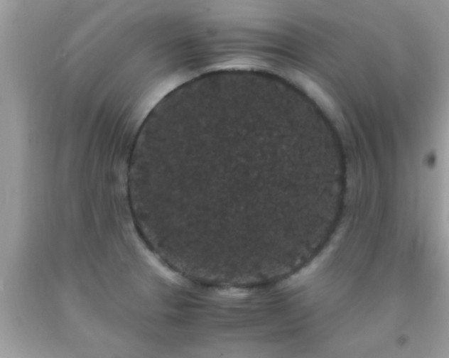 X0000093751329200710231224