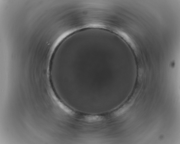 X0000093751331200710231224