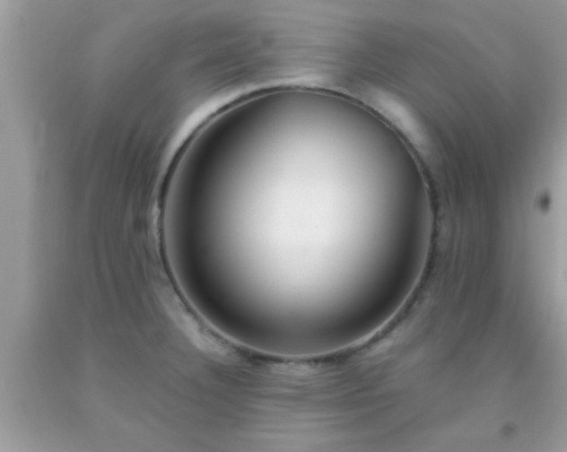 X0000093751332200710231224