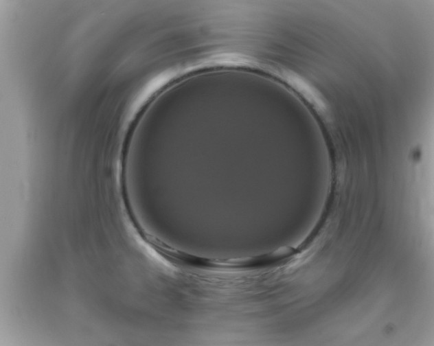 X0000093751334200710231224