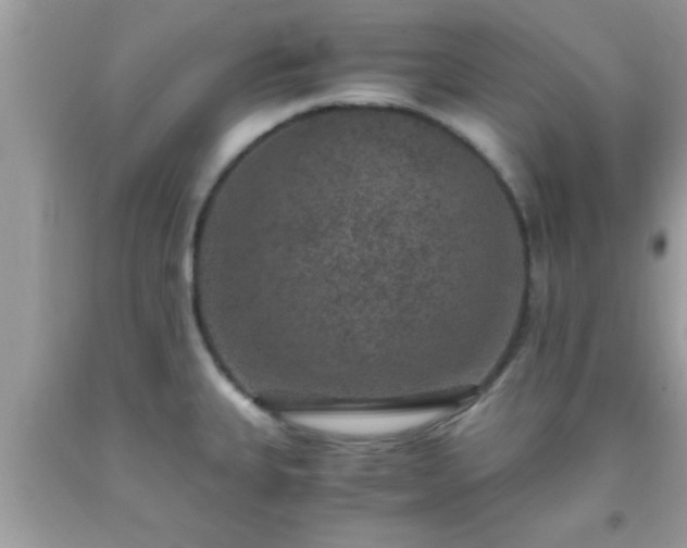 X0000093751335200710231224