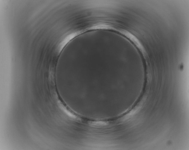 X0000093751337200710231224