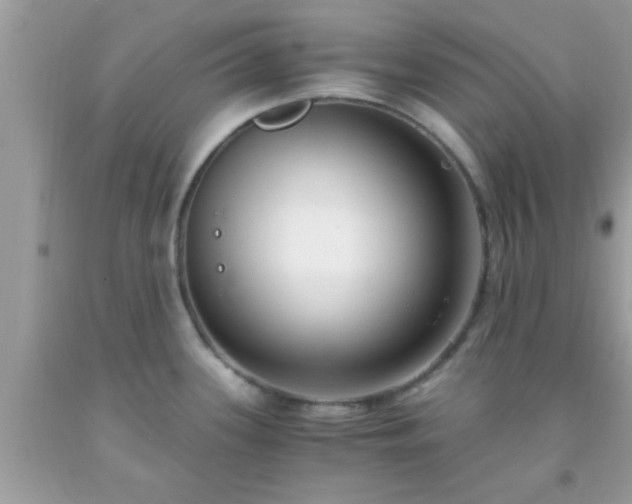 X0000093751339200710231224
