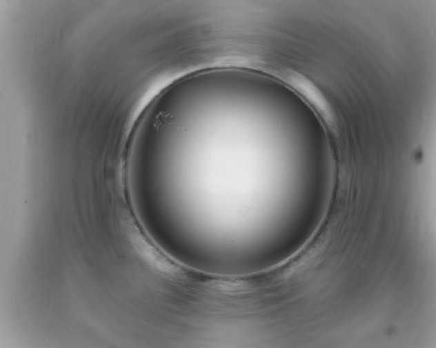 X0000093751340200710231224