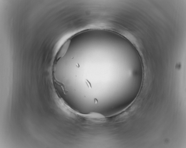 X0000093751344200710231224