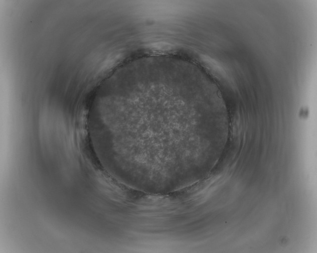 X0000093751346200710231224