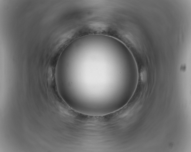 X0000093751347200710231224