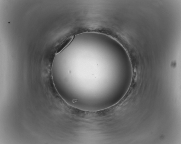 X0000093751349200710231224