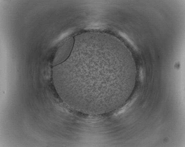X0000093751350200710231224