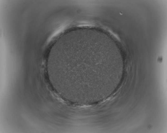X0000093751351200710231224