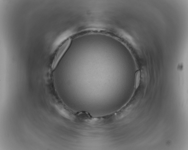 X0000093751352200710231224
