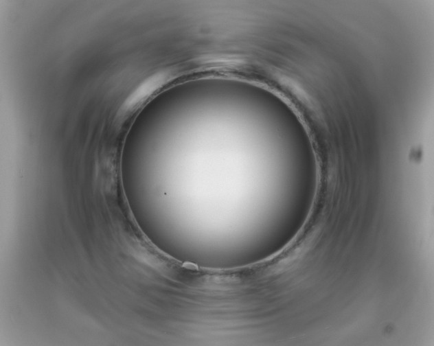 X0000093751354200710231224