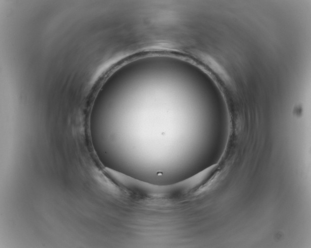 X0000093751356200710231224