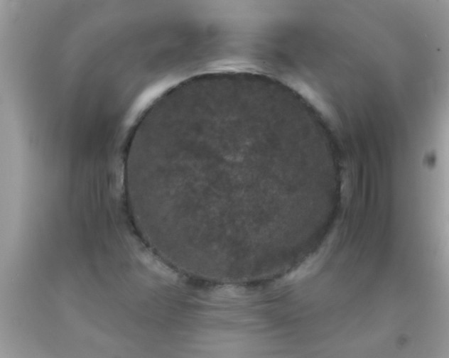 X0000093751358200710231224