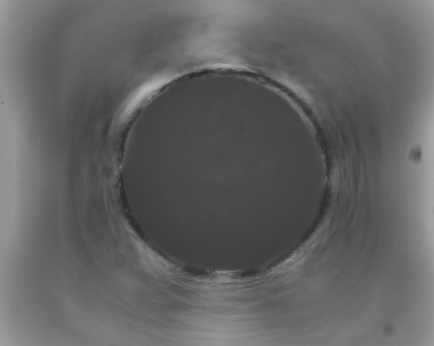 X0000093751359200710231224