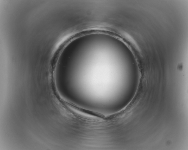 X0000093751360200710231224