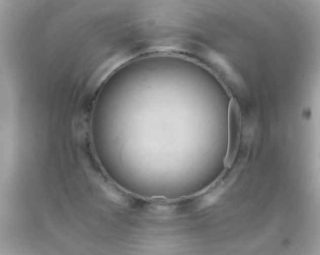 X0000093751361200710231224
