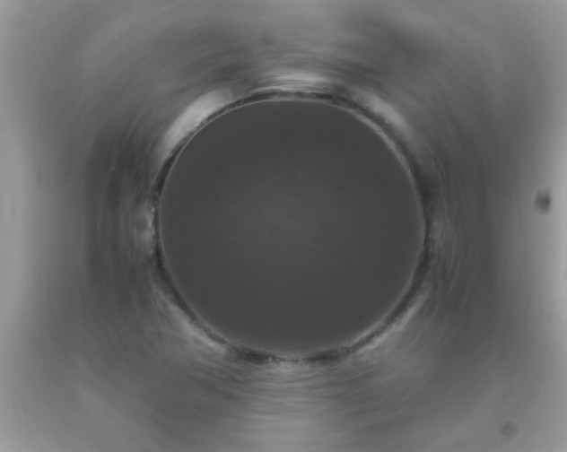 X0000093751362200710231224