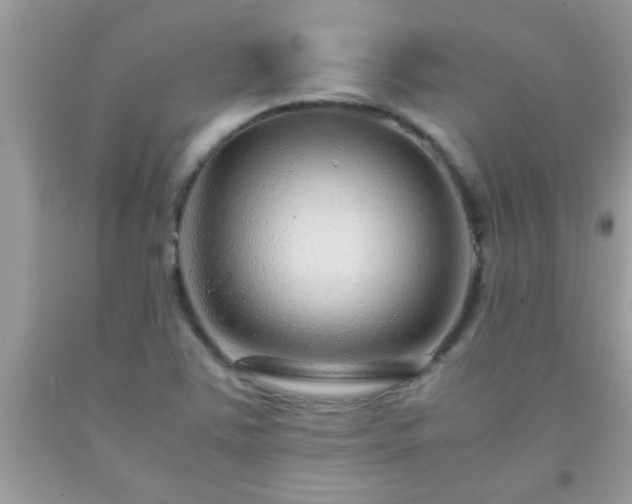 X0000093751363200710231224