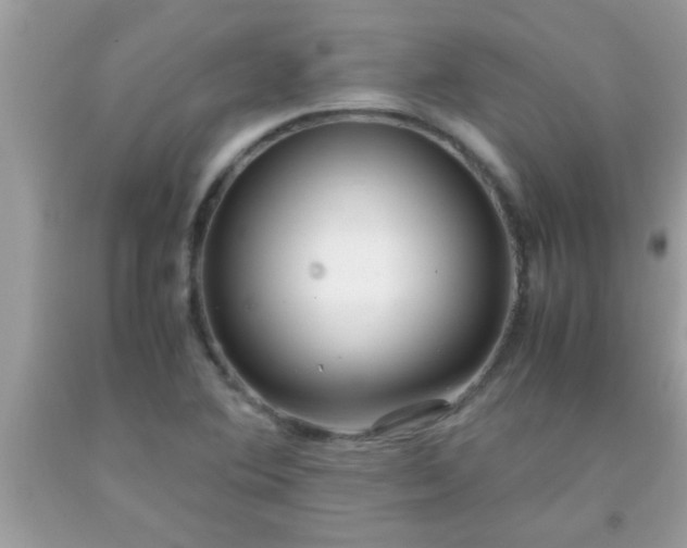X0000093751364200710231224
