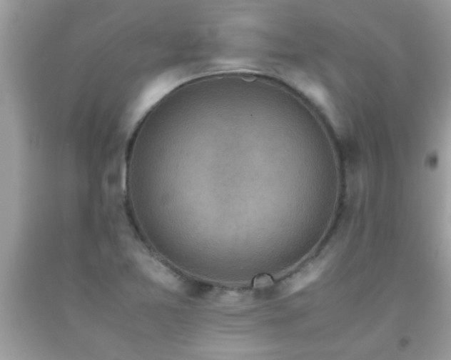 X0000093751365200710231223