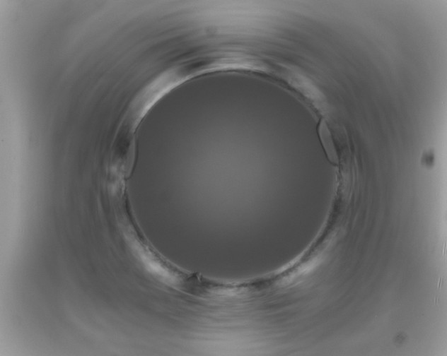 X0000093751369200710231223