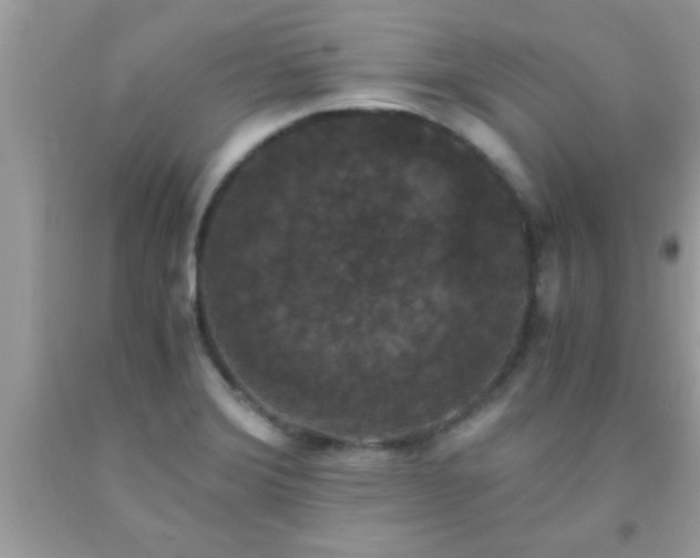 X0000093751372200710231223
