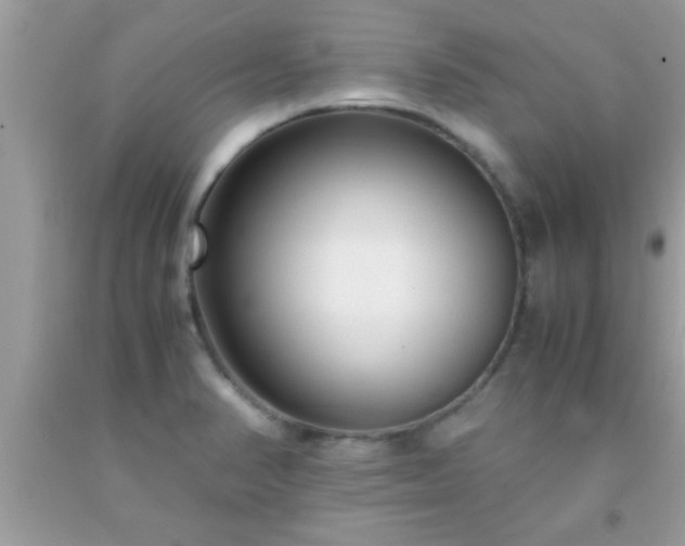 X0000093751374200710231223