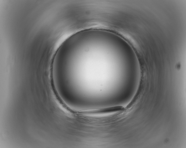 X0000093751375200710231223
