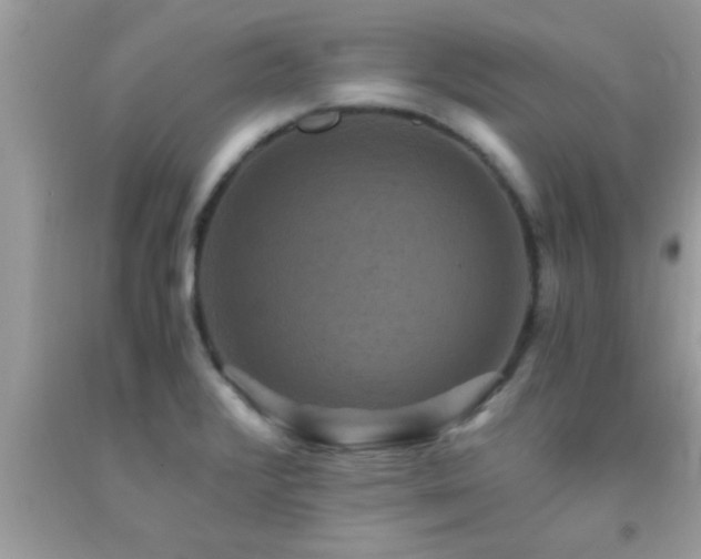 X0000093751376200710231223