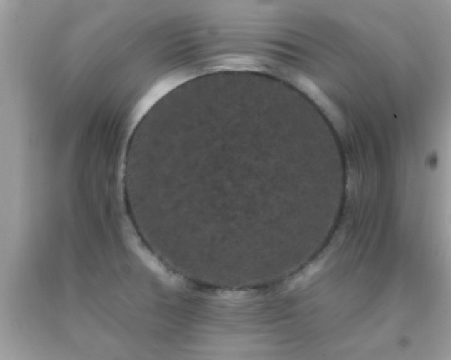 X0000093751378200710231223