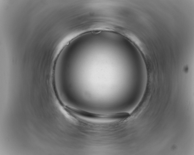 X0000093751379200710231223