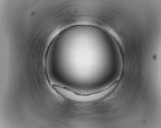 X0000093751380200710231223