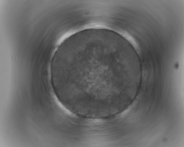 X0000093751382200710231223
