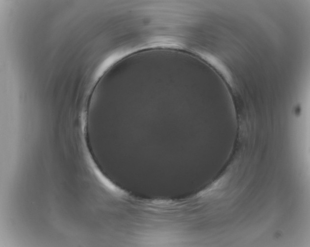 X0000093751383200710231223