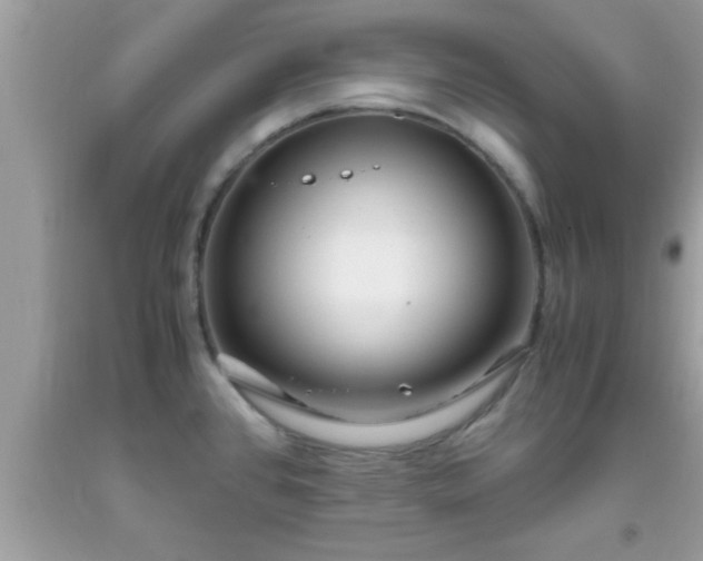 X0000093751384200710231223
