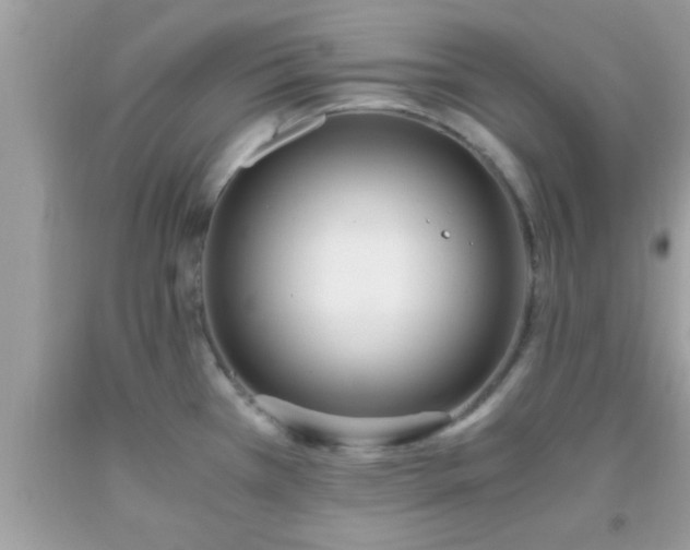 X0000093751385200710231223