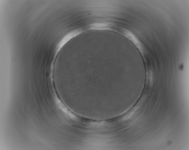 X0000093751386200710231223